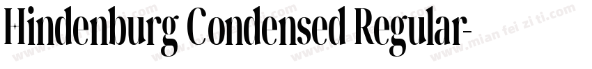 Hindenburg Condensed Regular字体转换